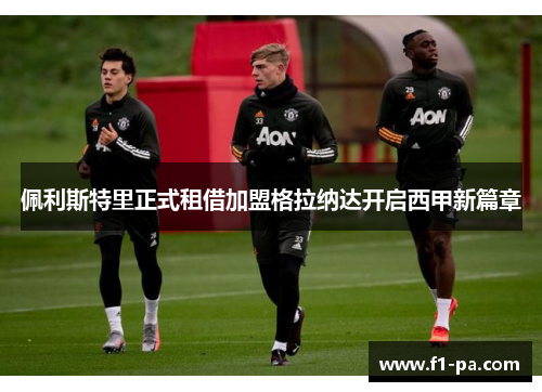 佩利斯特里正式租借加盟格拉纳达开启西甲新篇章