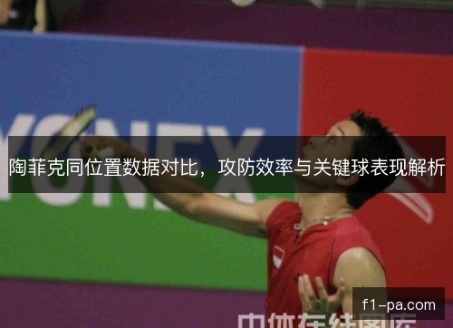 陶菲克同位置数据对比，攻防效率与关键球表现解析